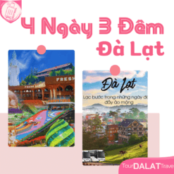 Tour Đà Lạt 4 ngày 3 đêm-Tour Việt Nam Travel
